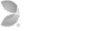 PG Soft